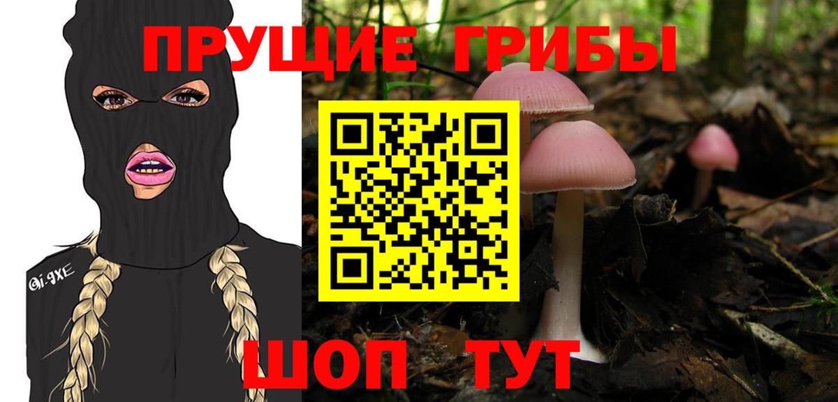 наркошоп  Вход с VPN  Советск  Галлюциногенные грибы MAGIC MUSHROOMS  Псилоцибиновые грибы Psilocybine cubensis 