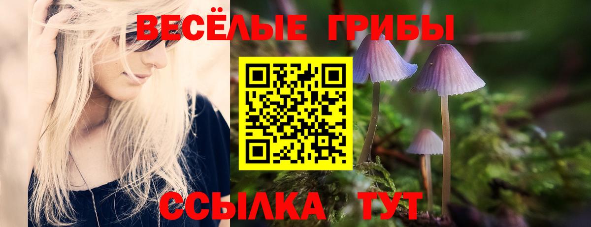 Псилоцибиновые грибы ЛСД Советск